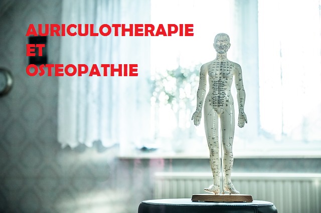 Et si on alliait Auriculothérapie et Ostéopathie?